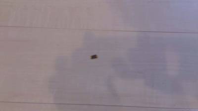 フローリングのタバコ焦げ跡補修前の状態