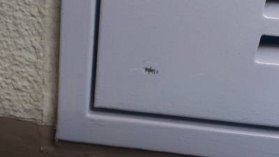 塗装剥がれ補修前の鉄扉