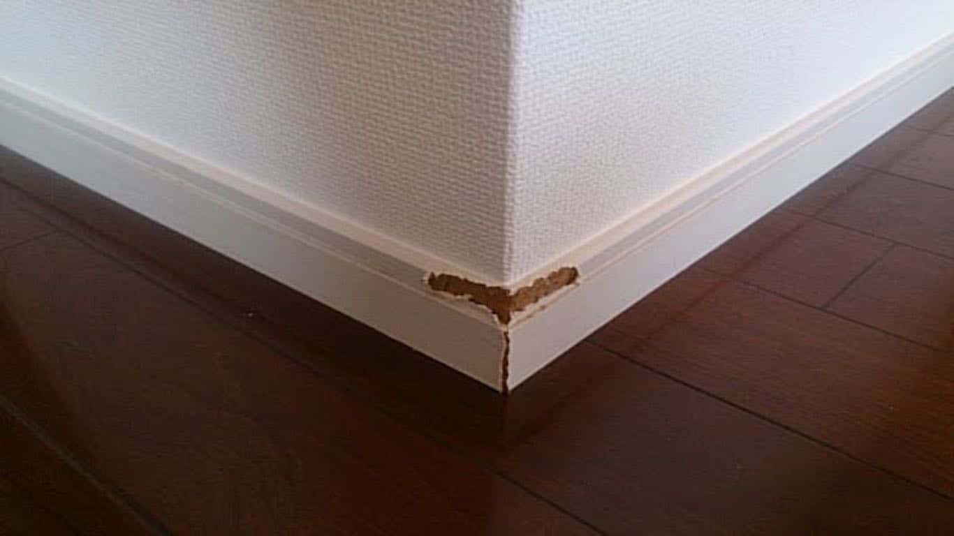 洋室の白い巾木の補修