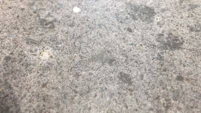 補修後のキッチンのクッションフロア