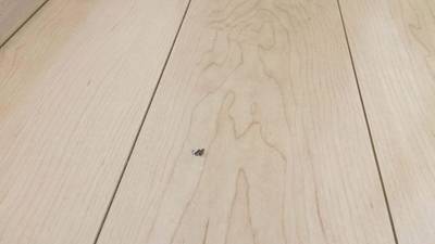 傷のあるフローリングの補修前の状態