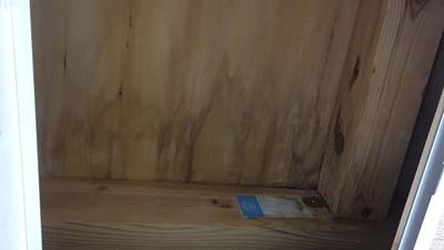 染みが出来ている天井裏の状態