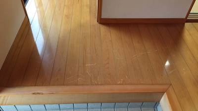 ひっかき傷だらけのフローリング