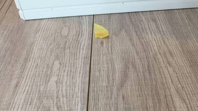 玄関ホールのフローリング上で、床鳴りがする位置にマスキングテープで印をつけている様子