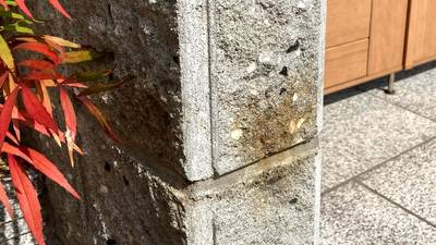 玄関先の化粧ブロック塀の表面や目地付近に、茶色いサビ汚れが付着している状態