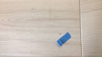 補修前のフローリングの打痕傷です。青いテープが目印です。