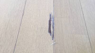 表面のシートの剥がれたフローリング