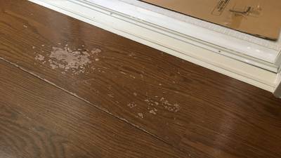 フローリング表面の広範囲な剥がれ 補修前