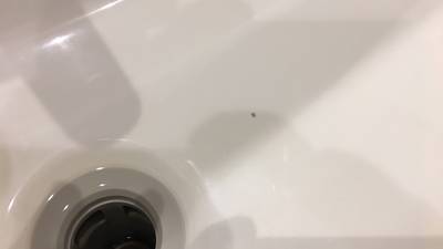 物を落としてできた欠けです