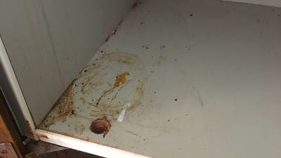 サビと汚れが広がった下駄箱収納の補修前