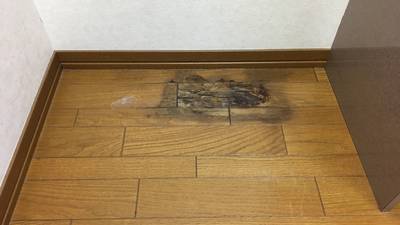 冷蔵庫下のフローリングの染み
