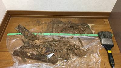劣化した床材の除去作業
