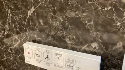 石目模様が再現されビス穴が完全に消えたトイレの壁パネル